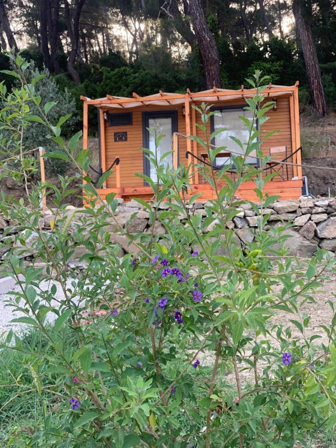 Tiny Mini House Hotell Dalaman Eksteriør bilde