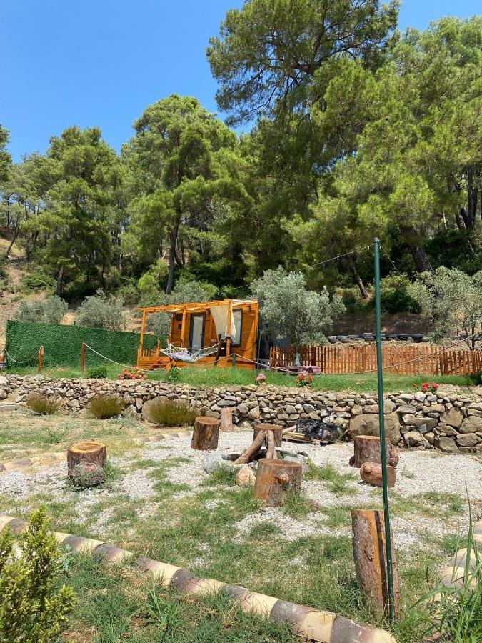 Tiny Mini House Hotell Dalaman Eksteriør bilde