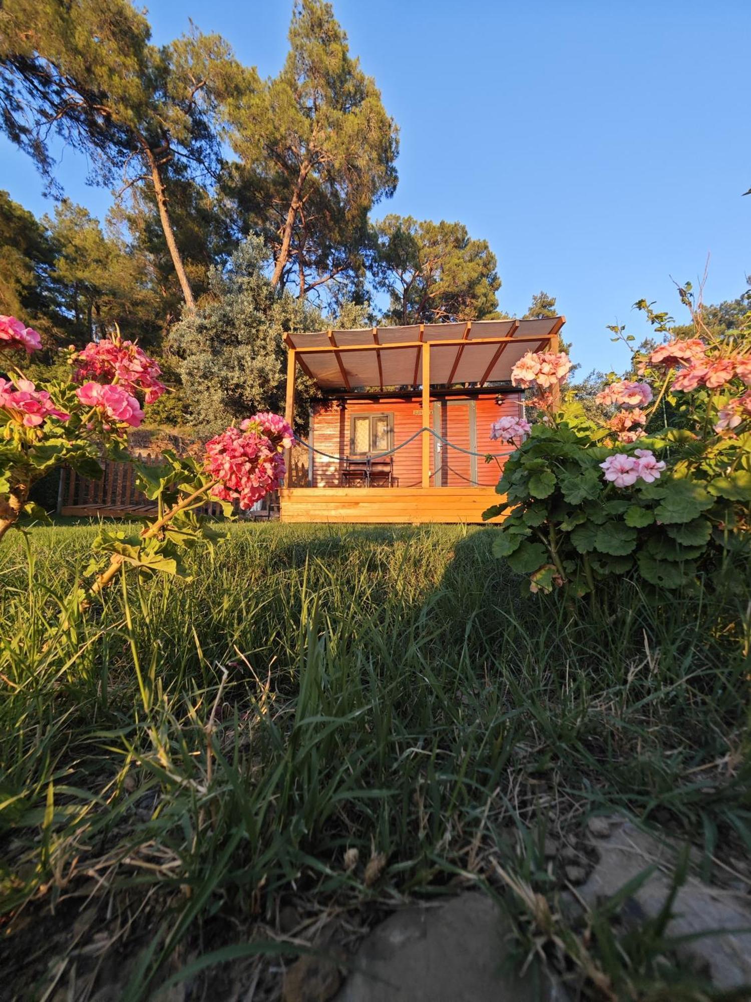 Tiny Mini House Hotell Dalaman Eksteriør bilde